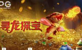 赏金国际vip登录入口手机版