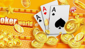 赏金国际vip登录入口正式版